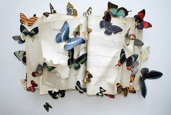 Бабочки В Животе Фото Красивые Картинки